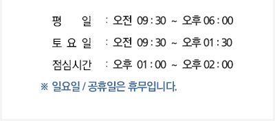 진료안